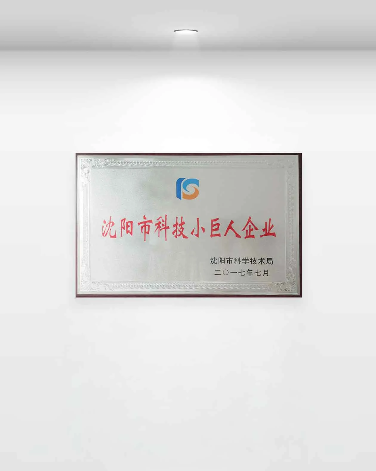 科技小巨人企业