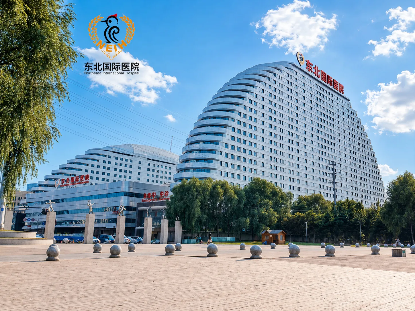 东北国际医院项目，公共建筑供配电工程案例。