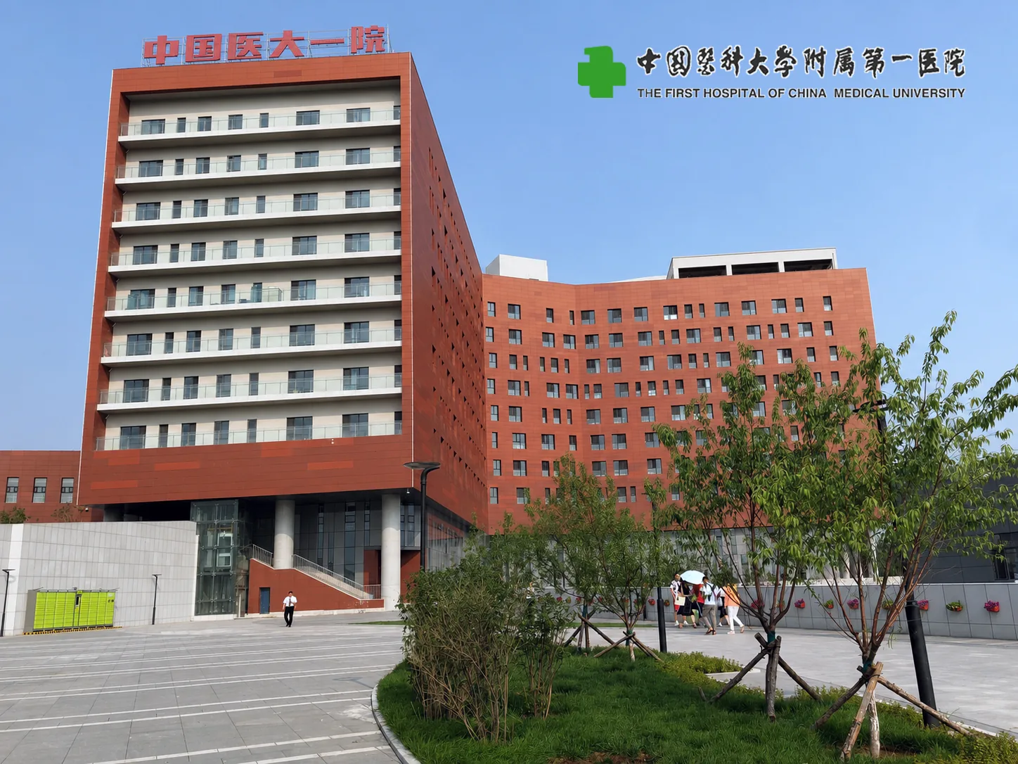 中国医大一国家心血管中心项目